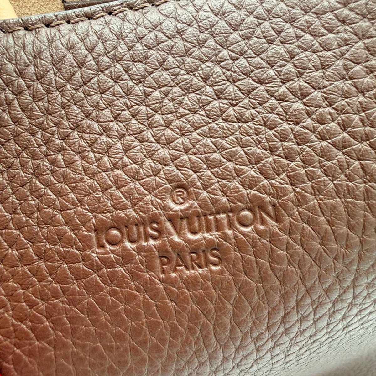 Louis Vuitton Volta bag in Taurillon leather