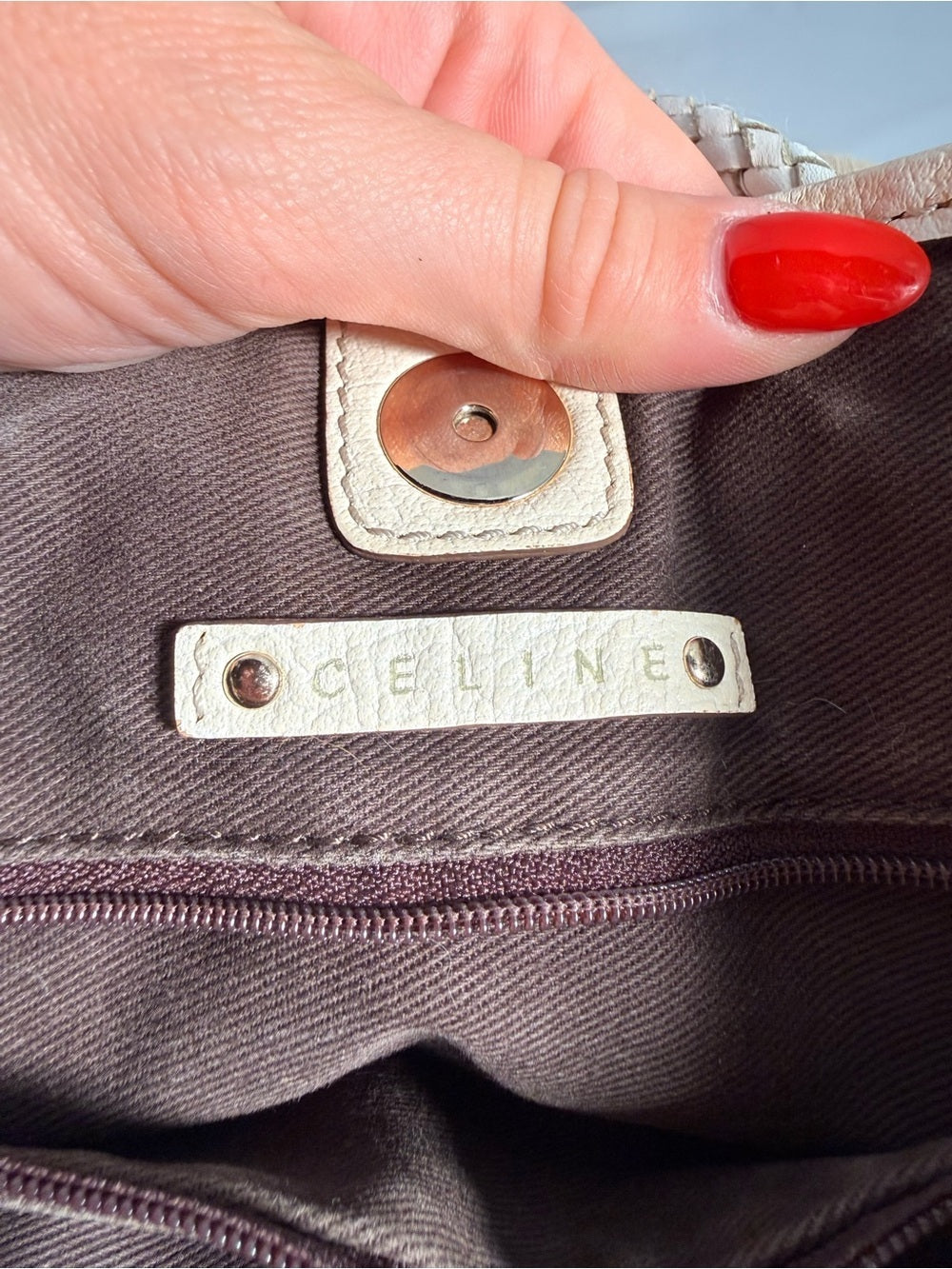Celine Canvas Turtle Tote