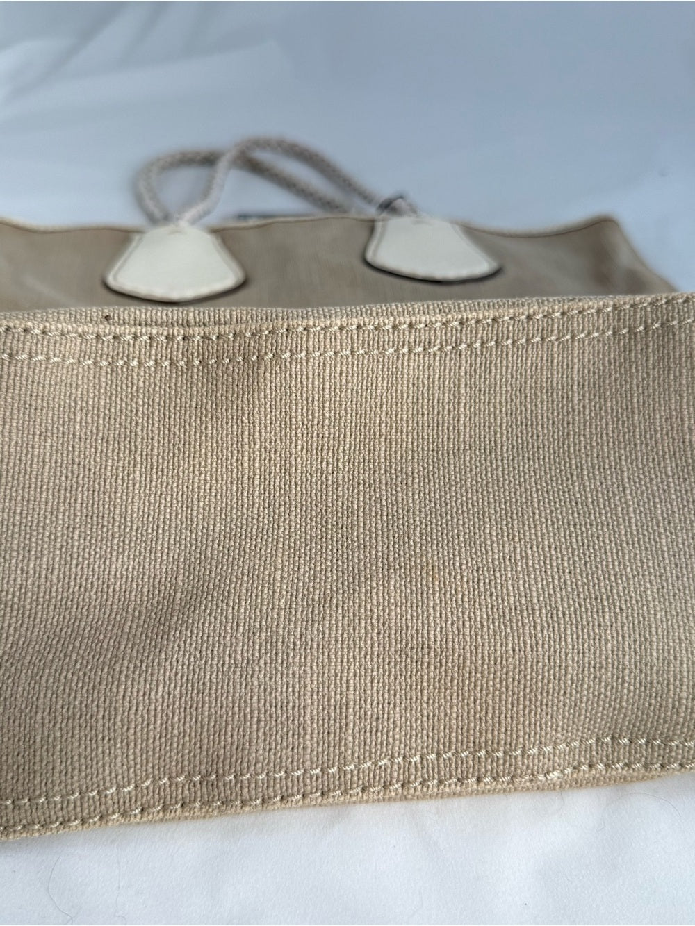 Celine Canvas Turtle Tote