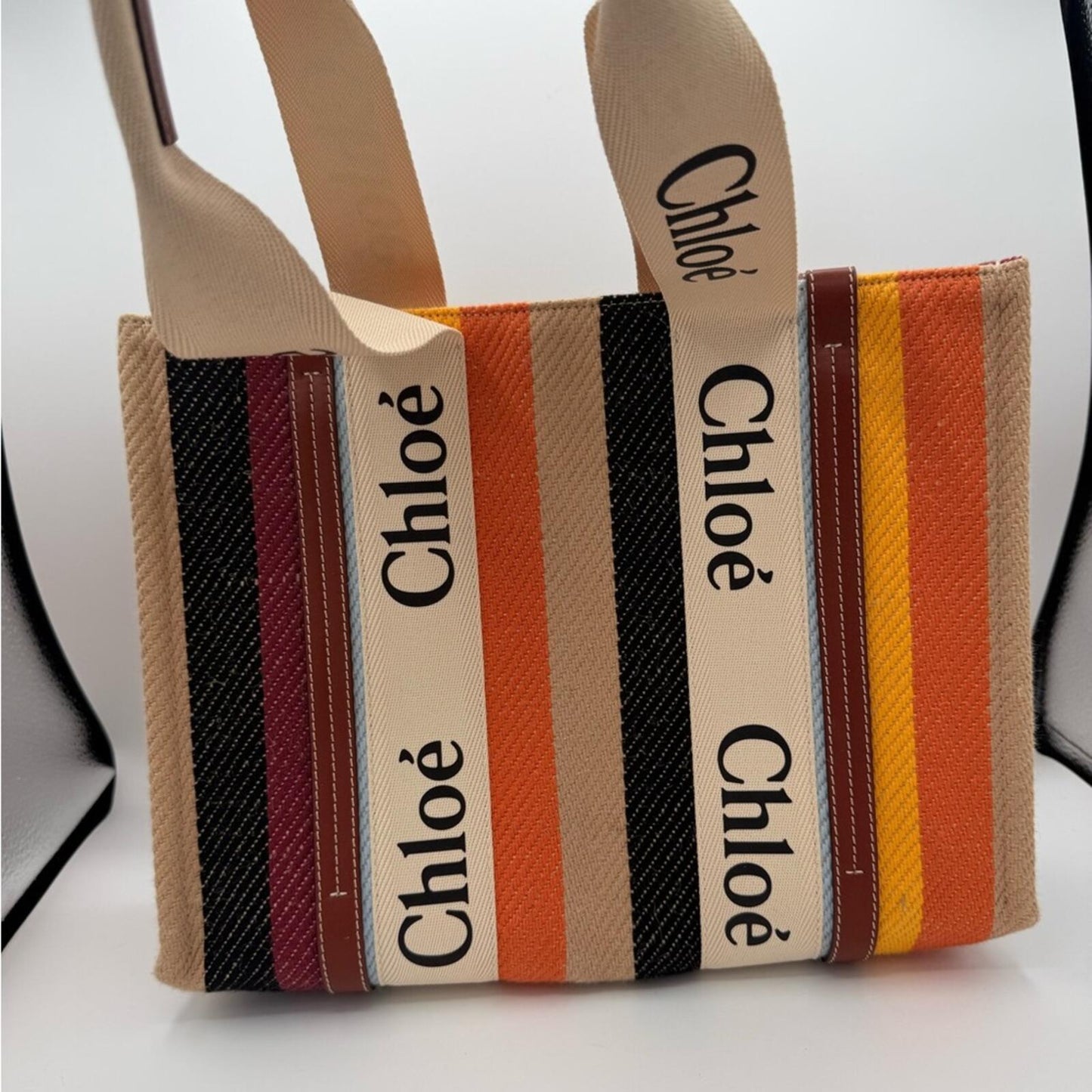 Chloe Medium Woody Tote Multicolor Striped Canvas